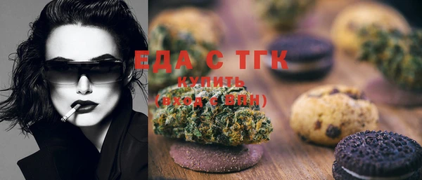 индика Аркадак