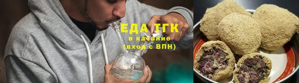 индика Аркадак