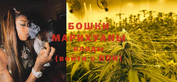 индика Аркадак