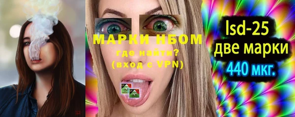 индика Аркадак