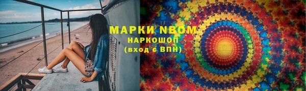 индика Аркадак